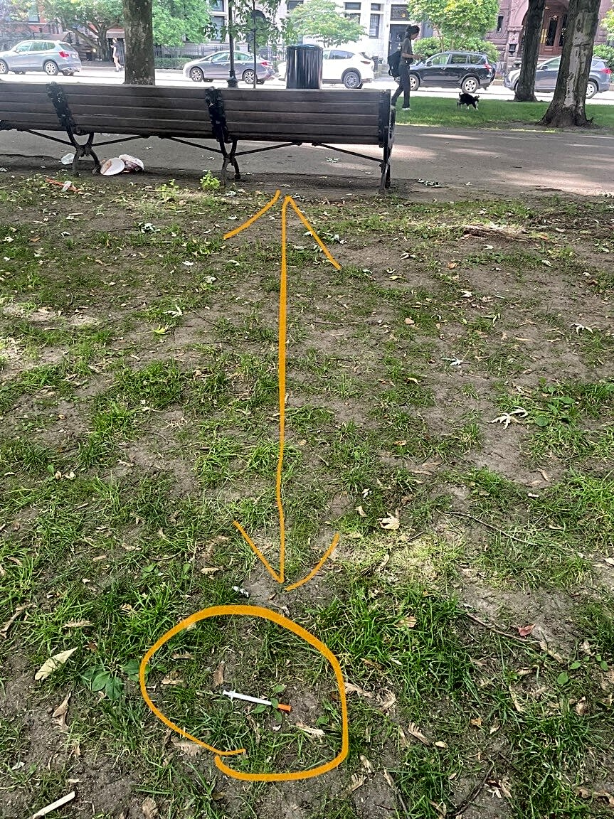 Image submitted with report