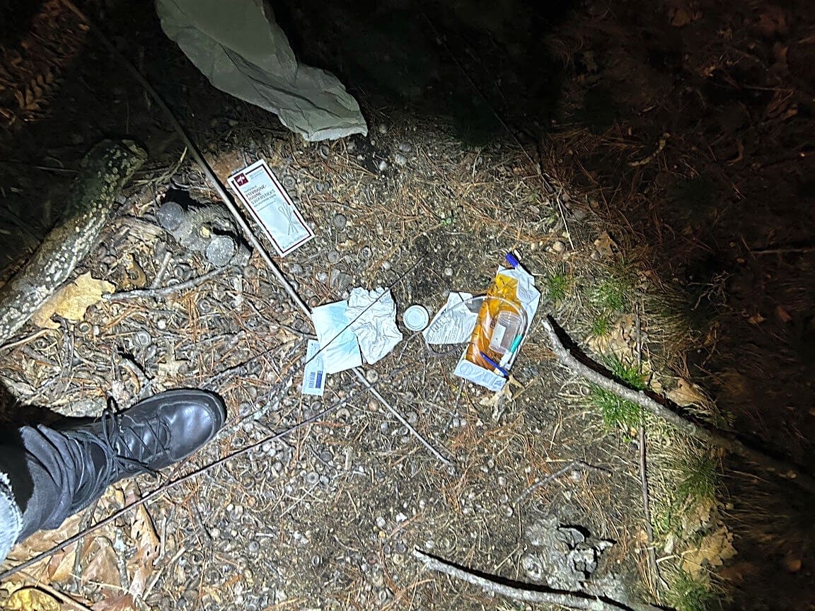 Image submitted with report