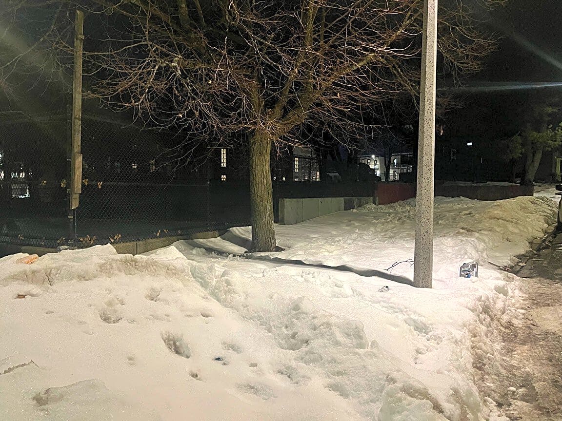 Image submitted with report