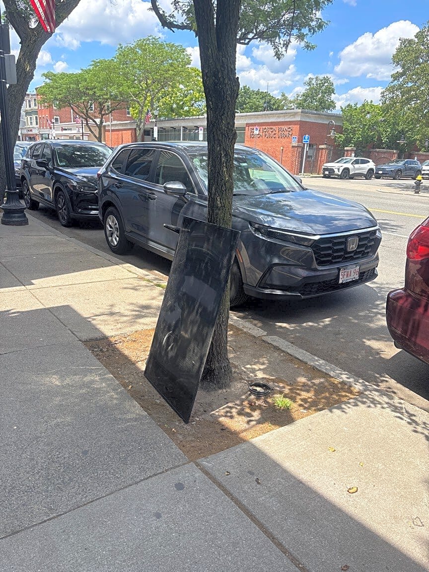 Image submitted with report