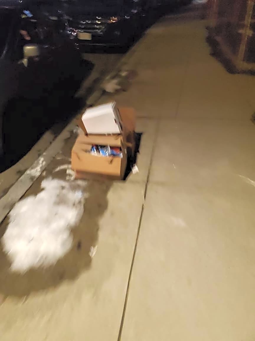 Image submitted with report