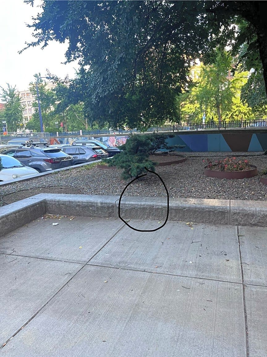 Image submitted with report