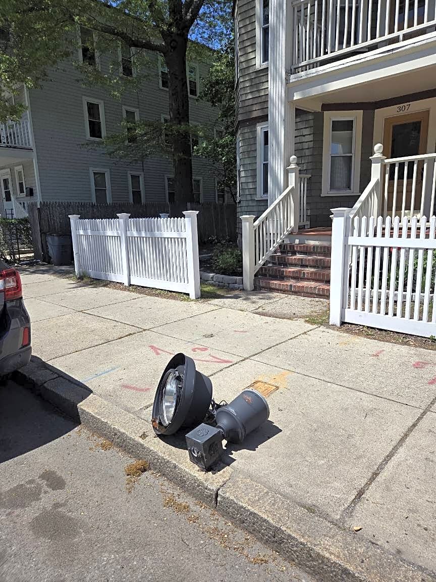 Image submitted with report