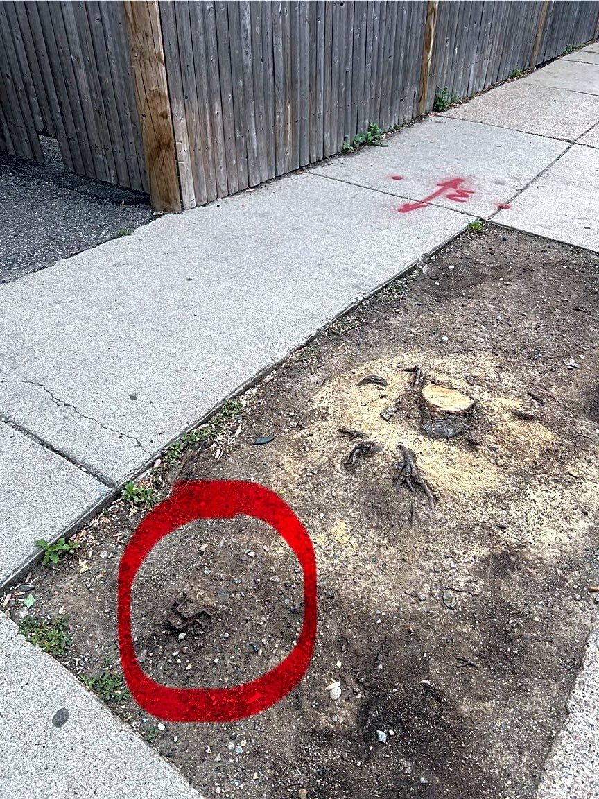 Image submitted with report