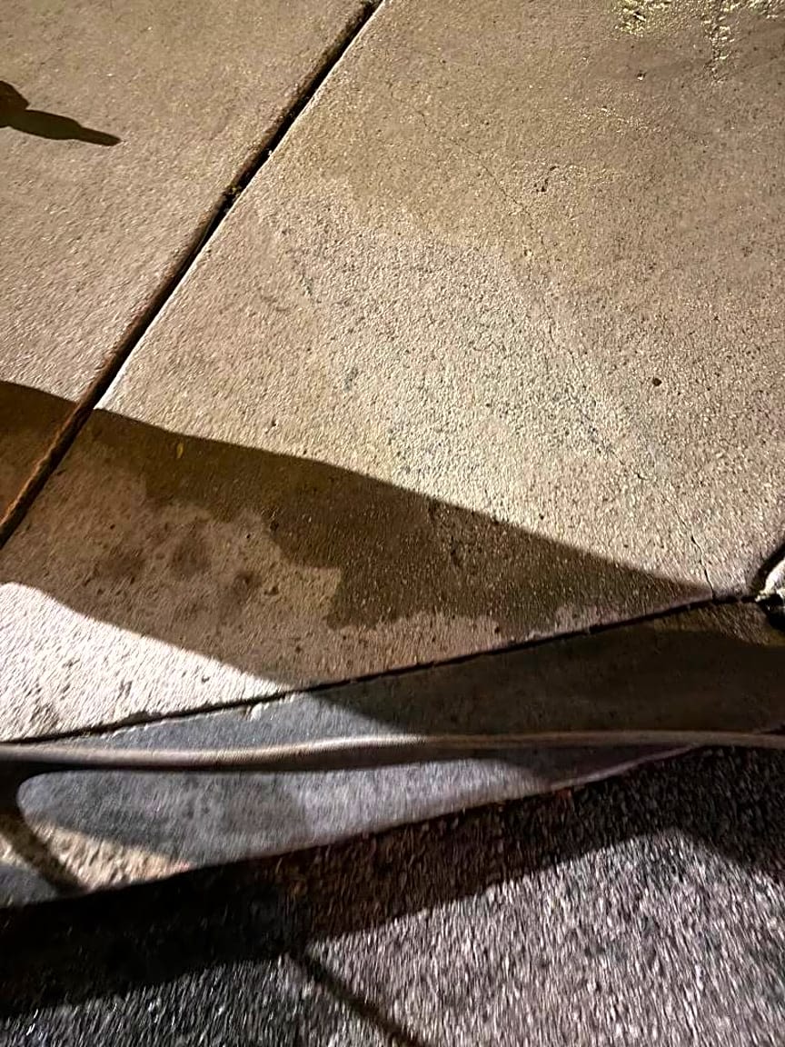 Image submitted with report