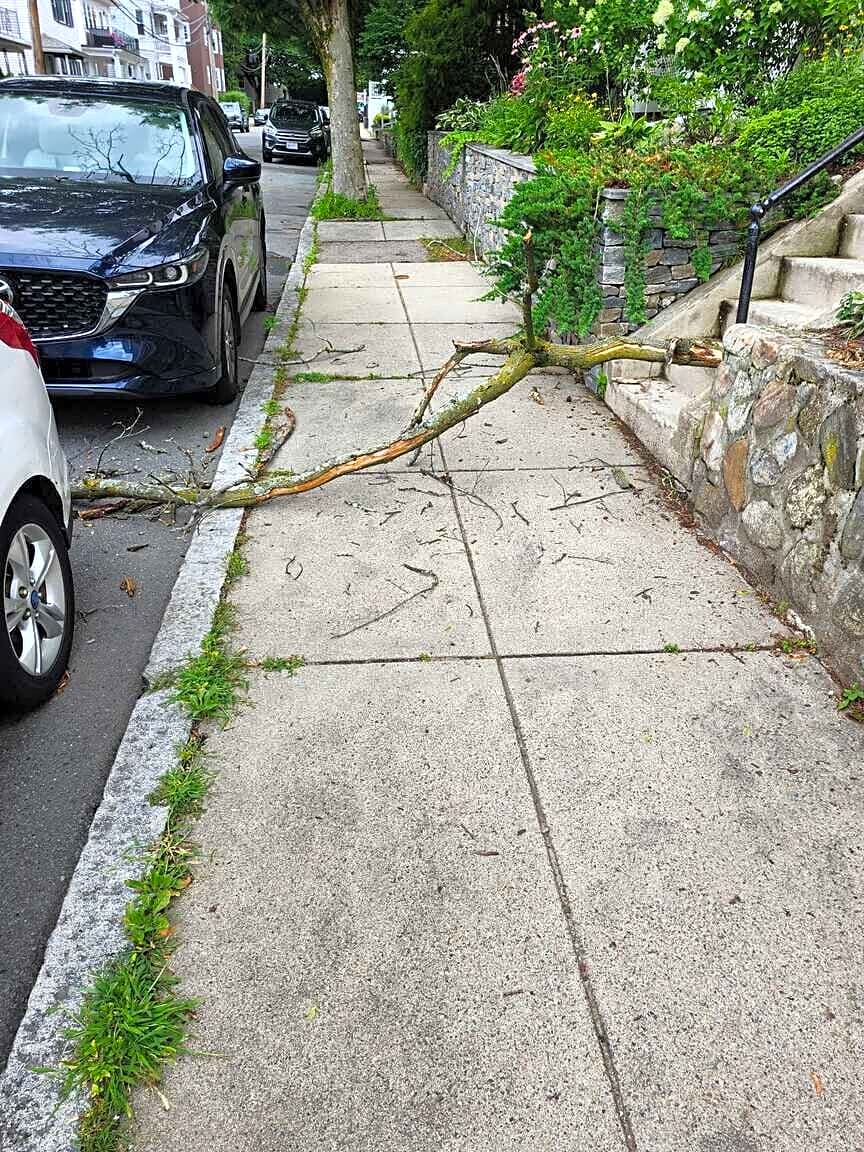 Image submitted with report