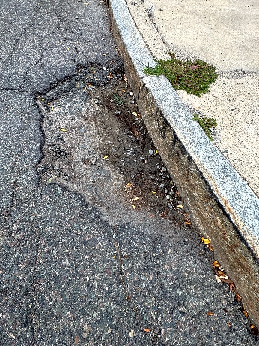Image submitted with report