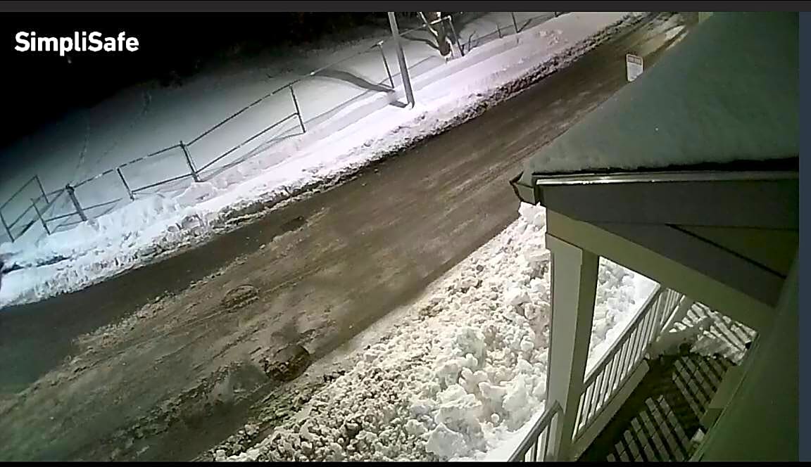 Image submitted with report