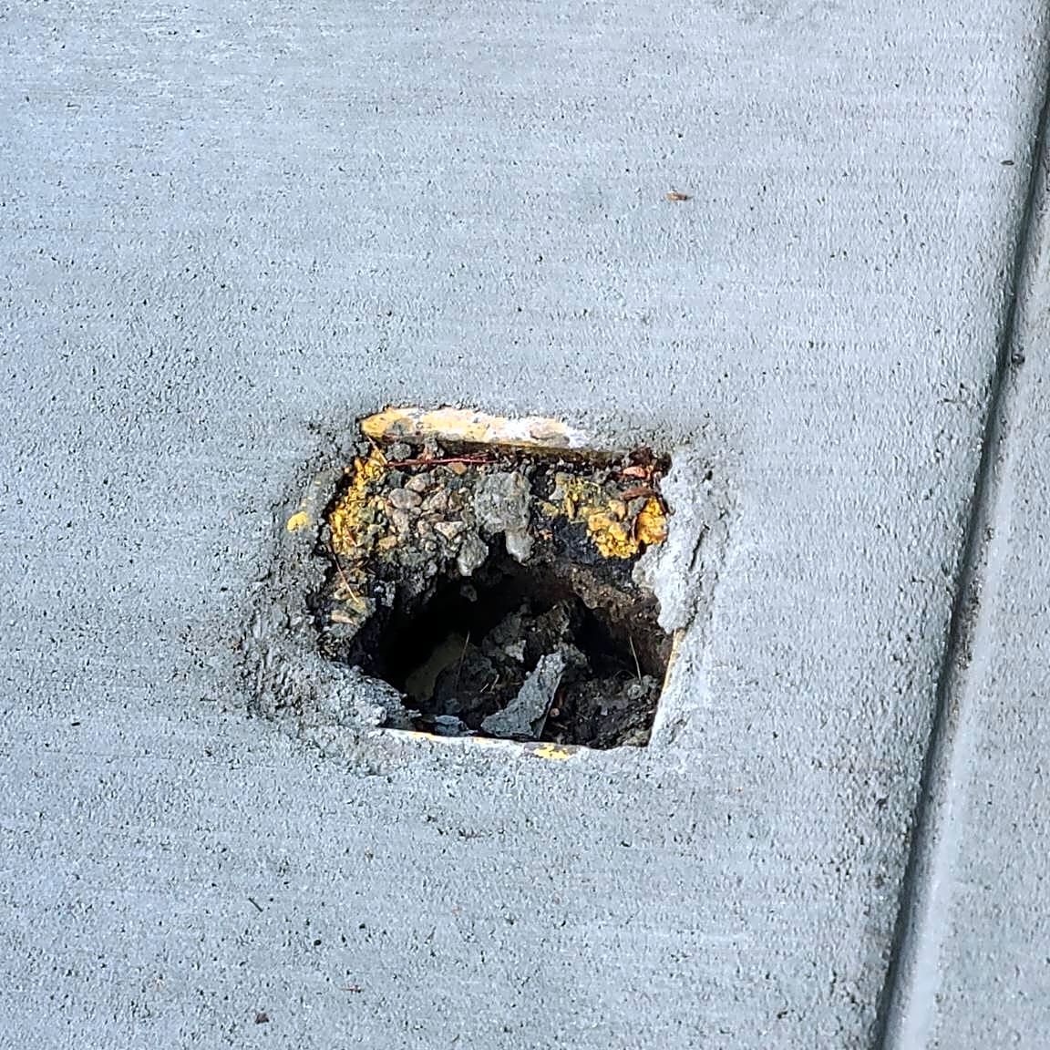 Image submitted with report