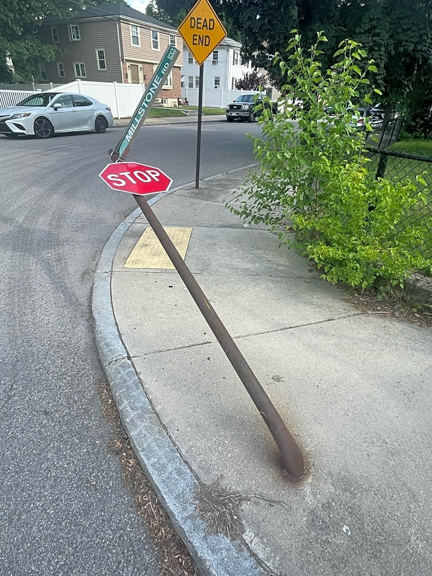 Image submitted with report