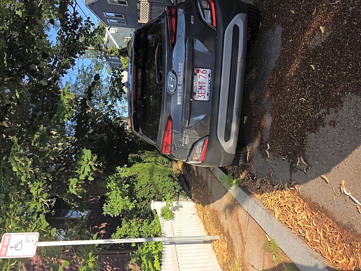 Image submitted with report