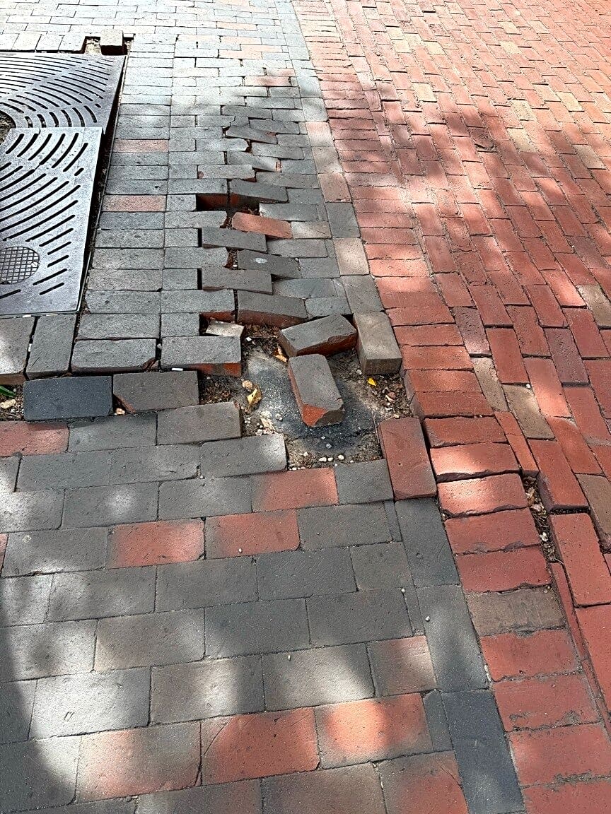 Image submitted with report