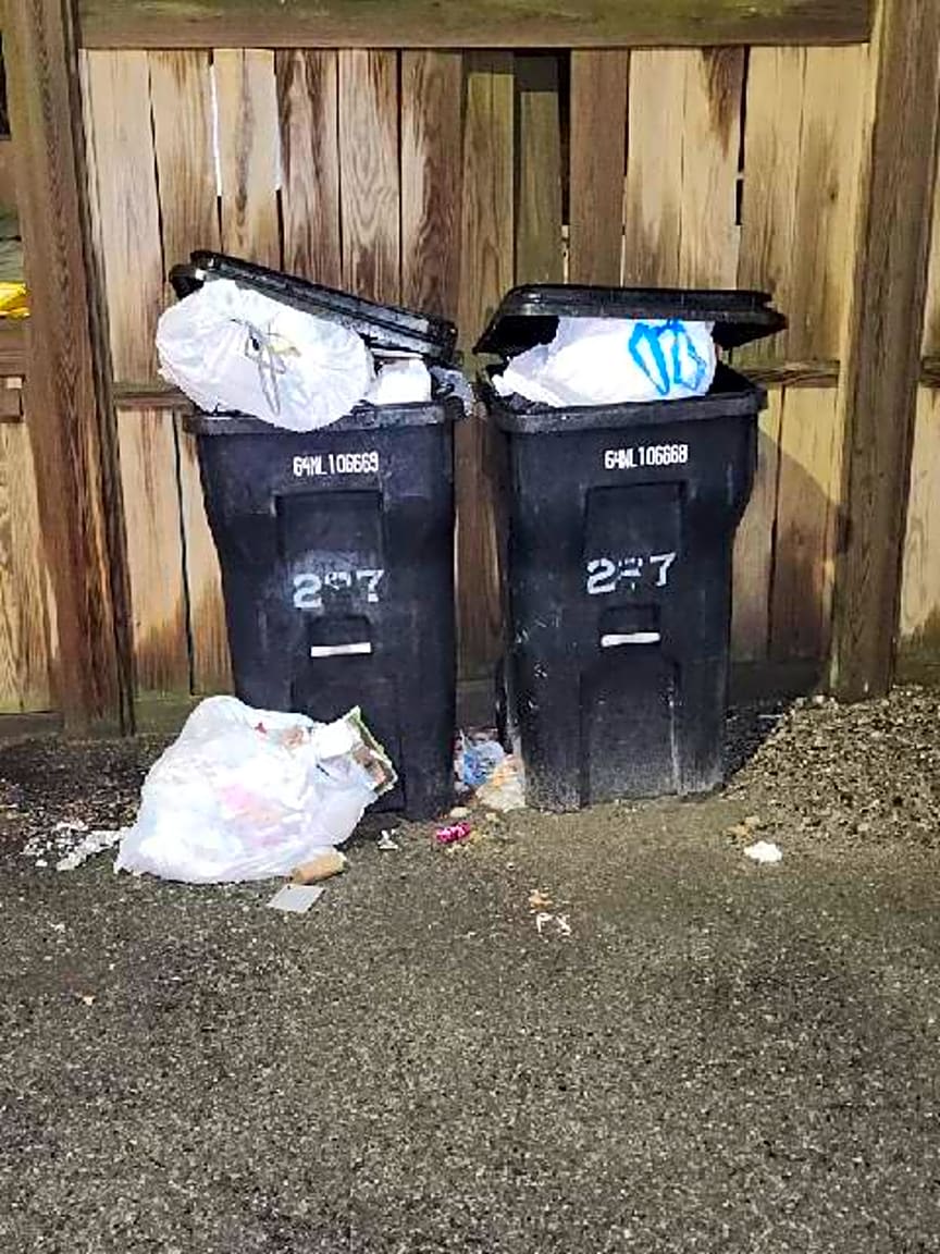 Image submitted with report