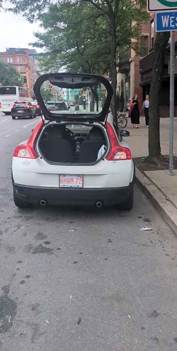 Image submitted with report