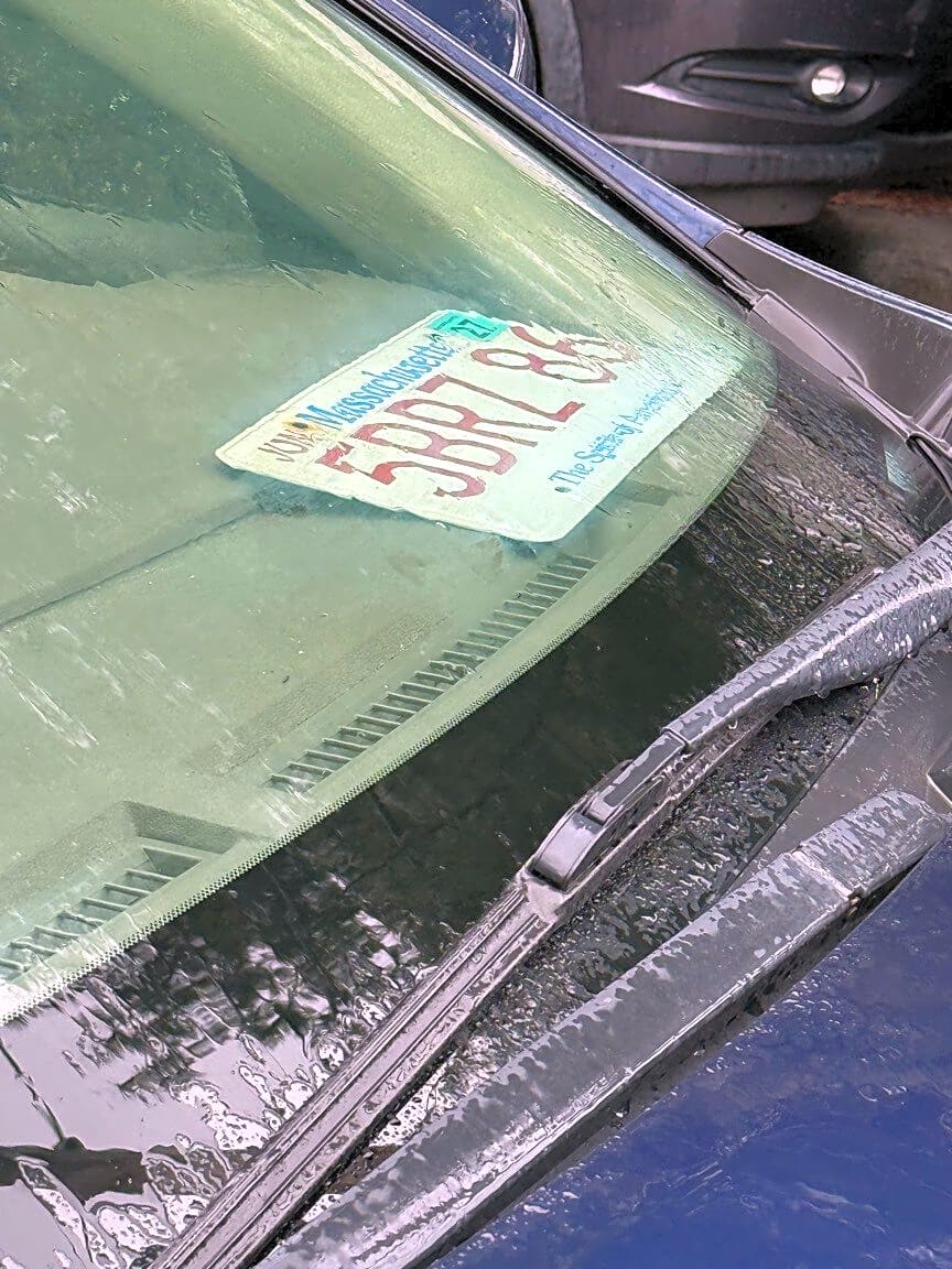 Image submitted with report