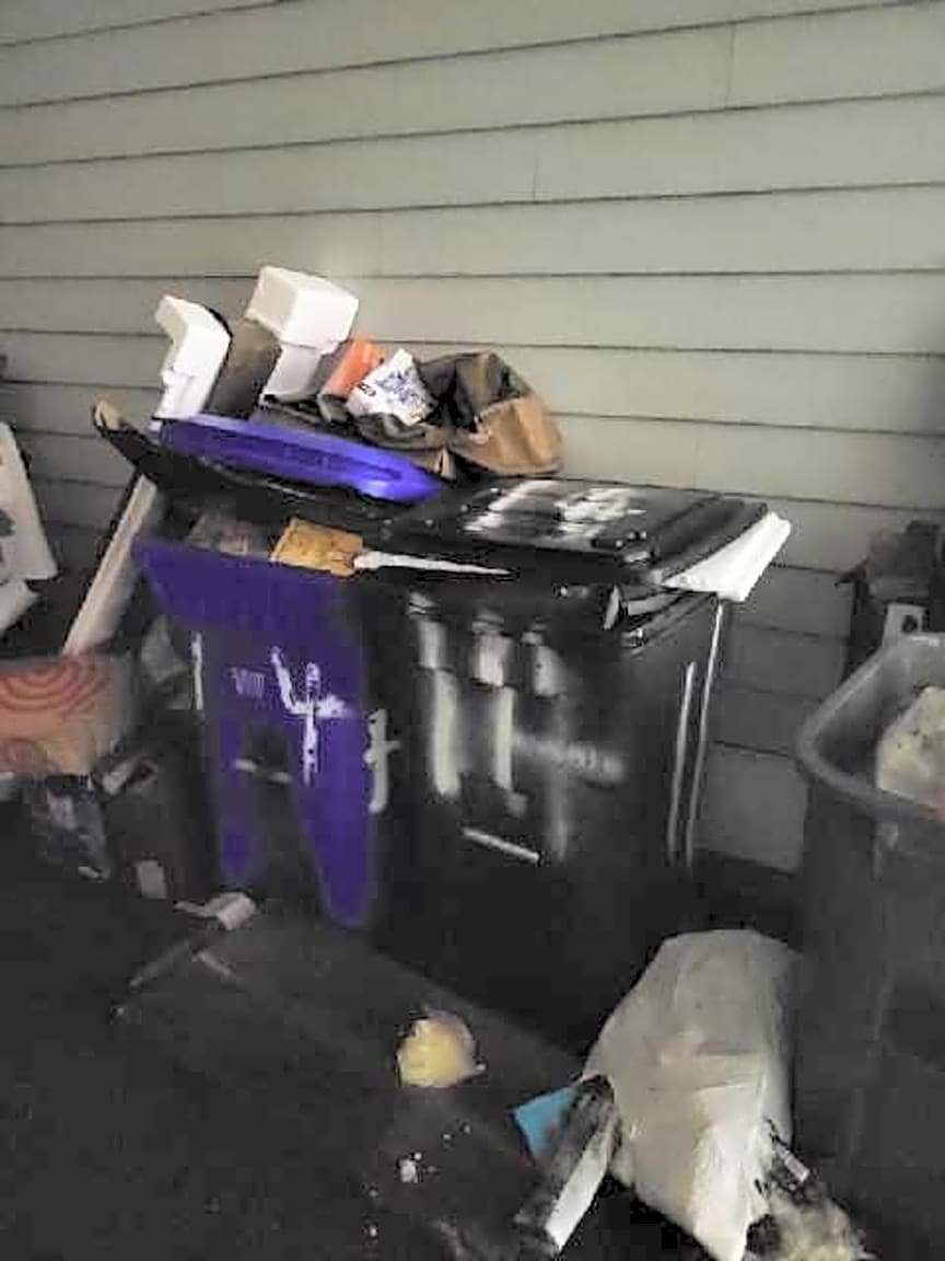 Image submitted with report