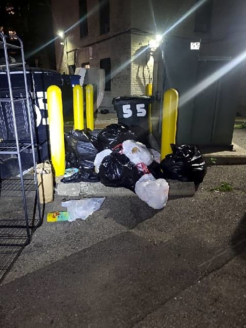 Image submitted with report