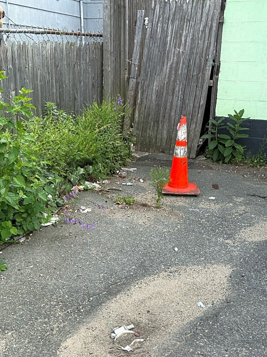Image submitted with report