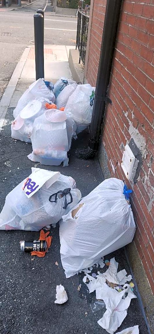 Image submitted with report