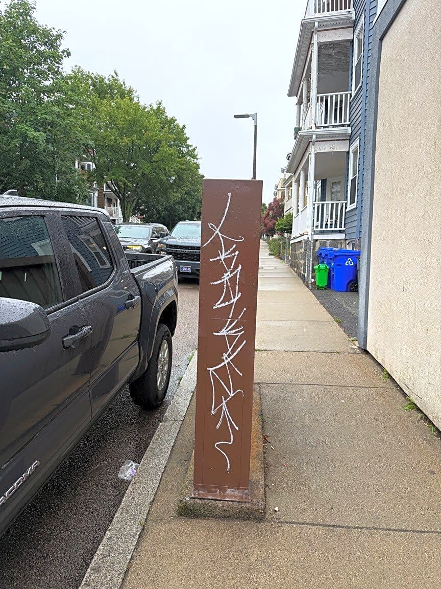 Image submitted with report