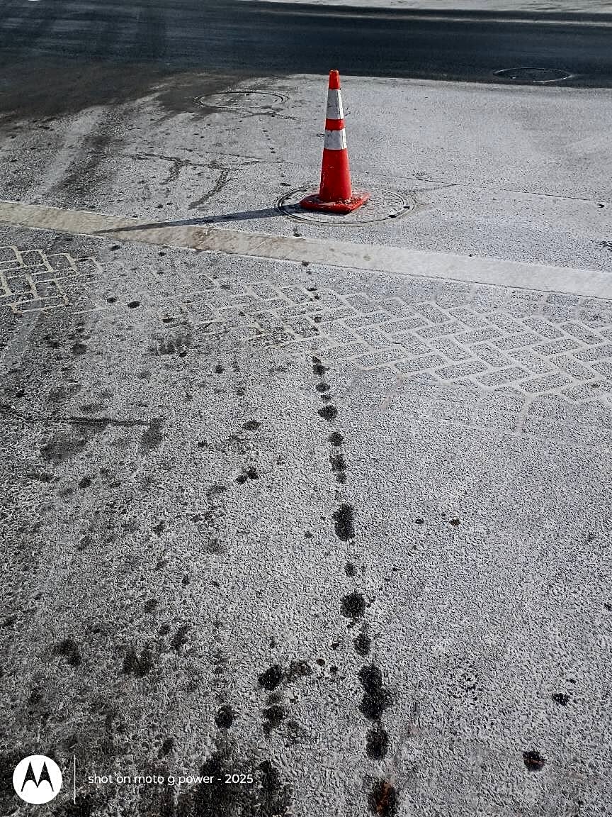 Image submitted with report