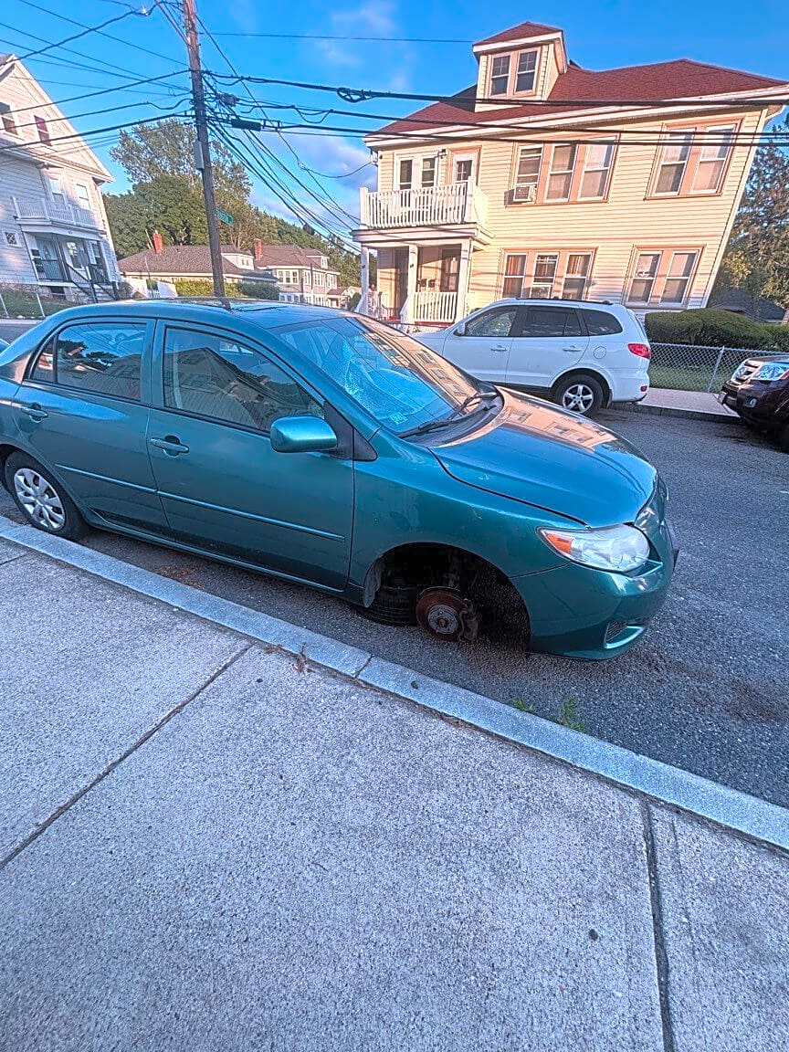 Image submitted with report
