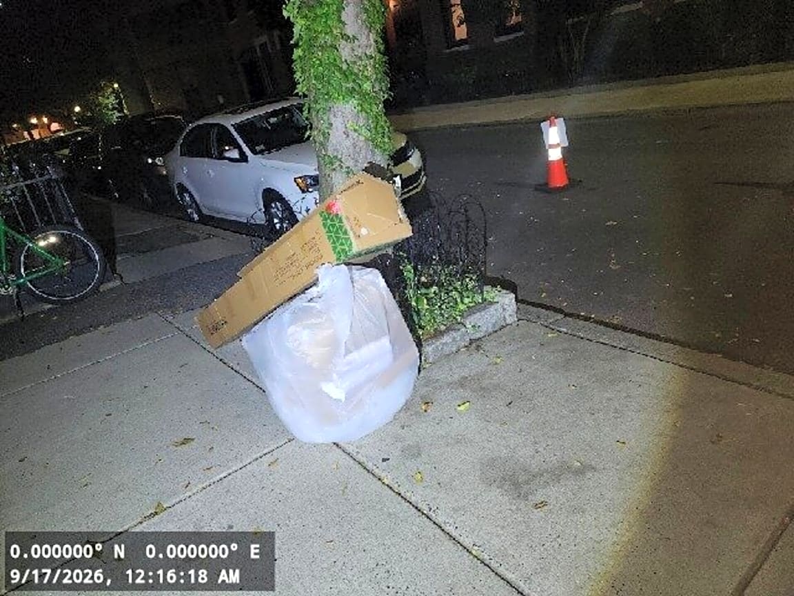 Image submitted with report