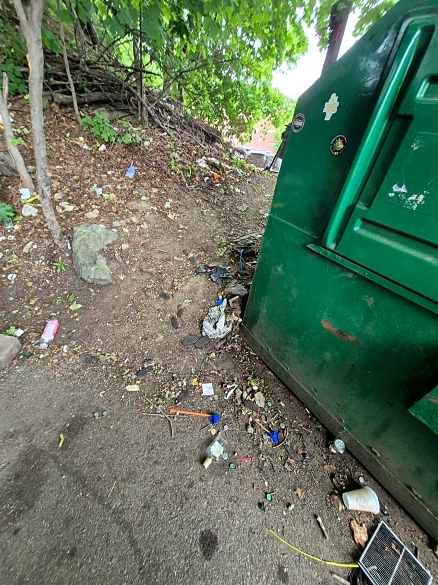 Image submitted with report