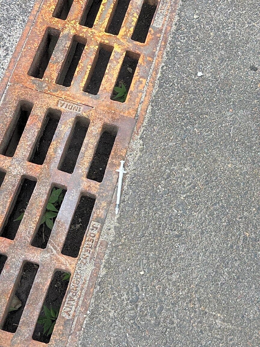 Image submitted with report