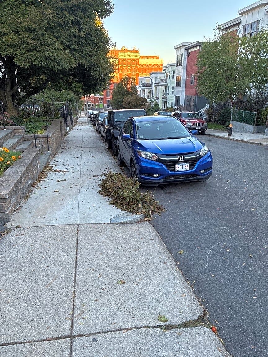 Image submitted with report