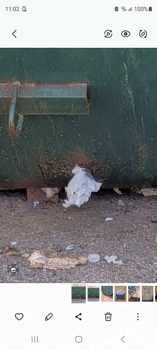 Image submitted with report