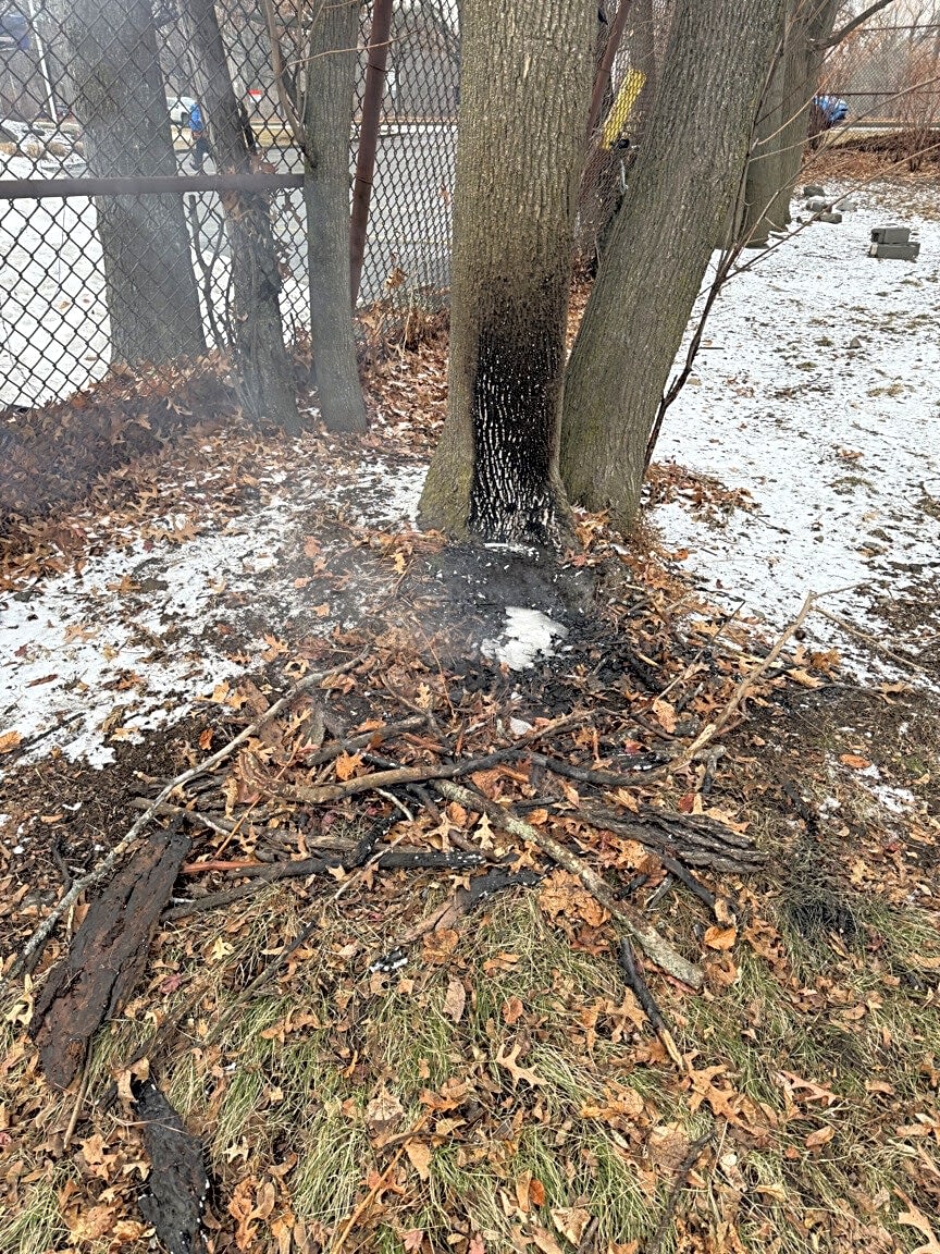 Image submitted with report