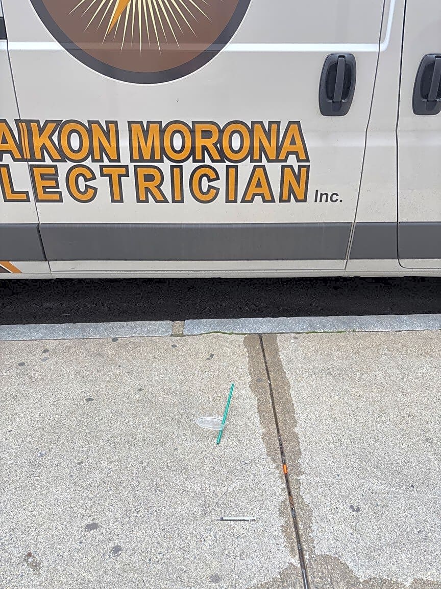 Image submitted with report