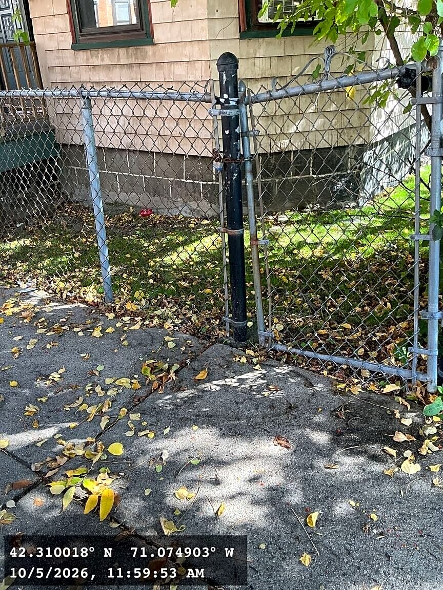 Image submitted with report