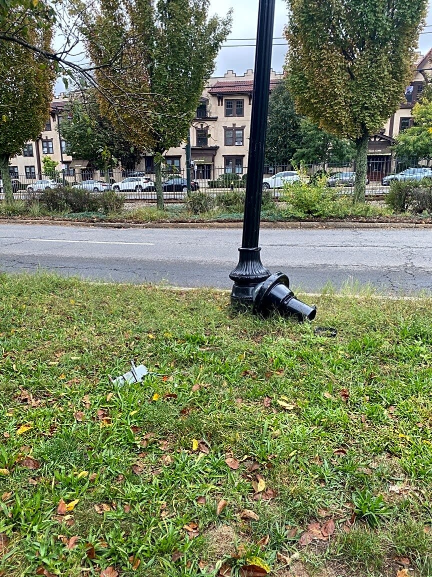 Image submitted with report