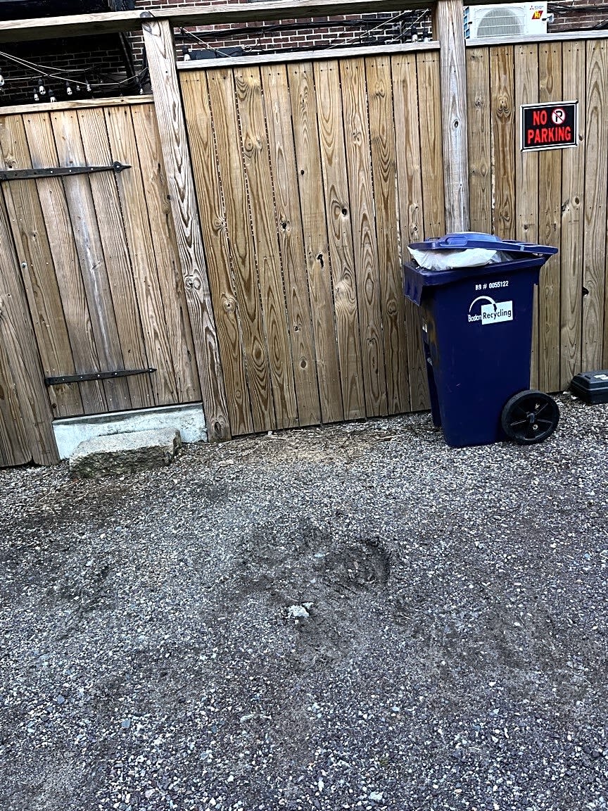 Image submitted with report