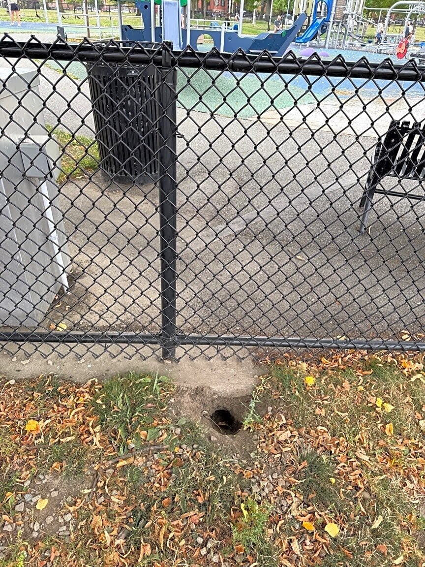Image submitted with report