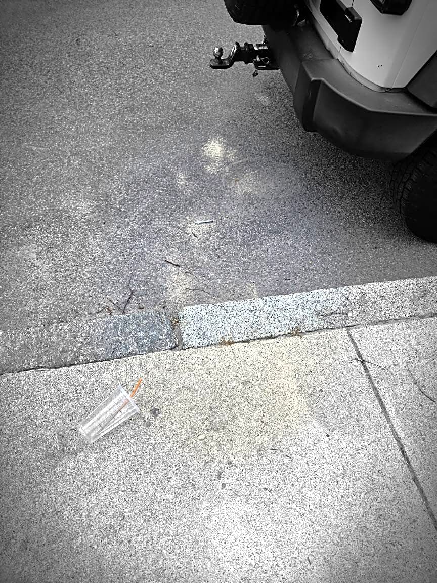 Image submitted with report