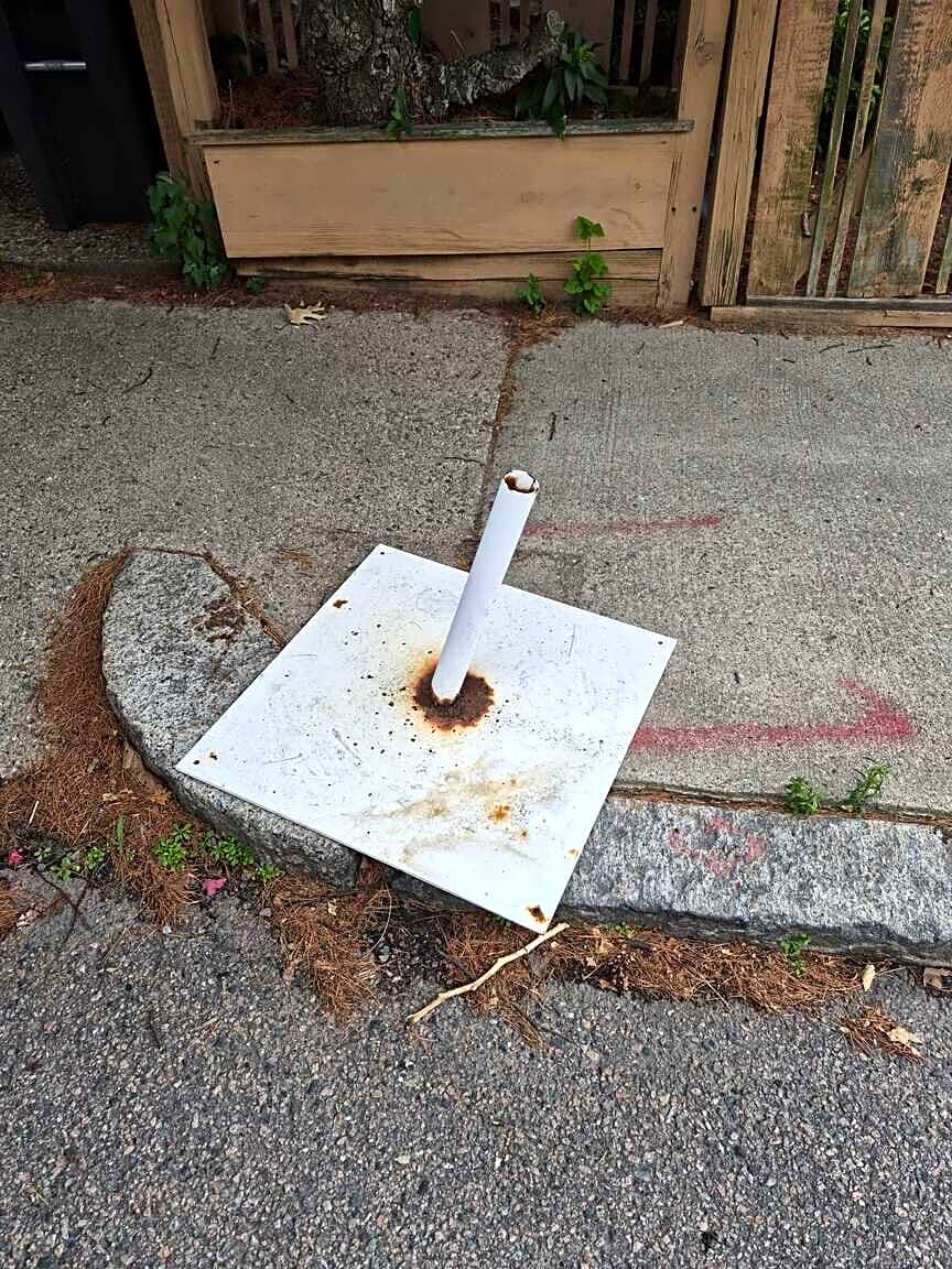 Image submitted with report