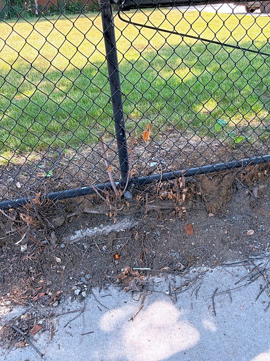Image submitted with report