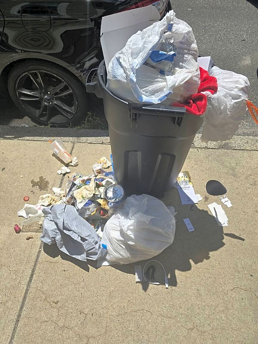 Image submitted with report