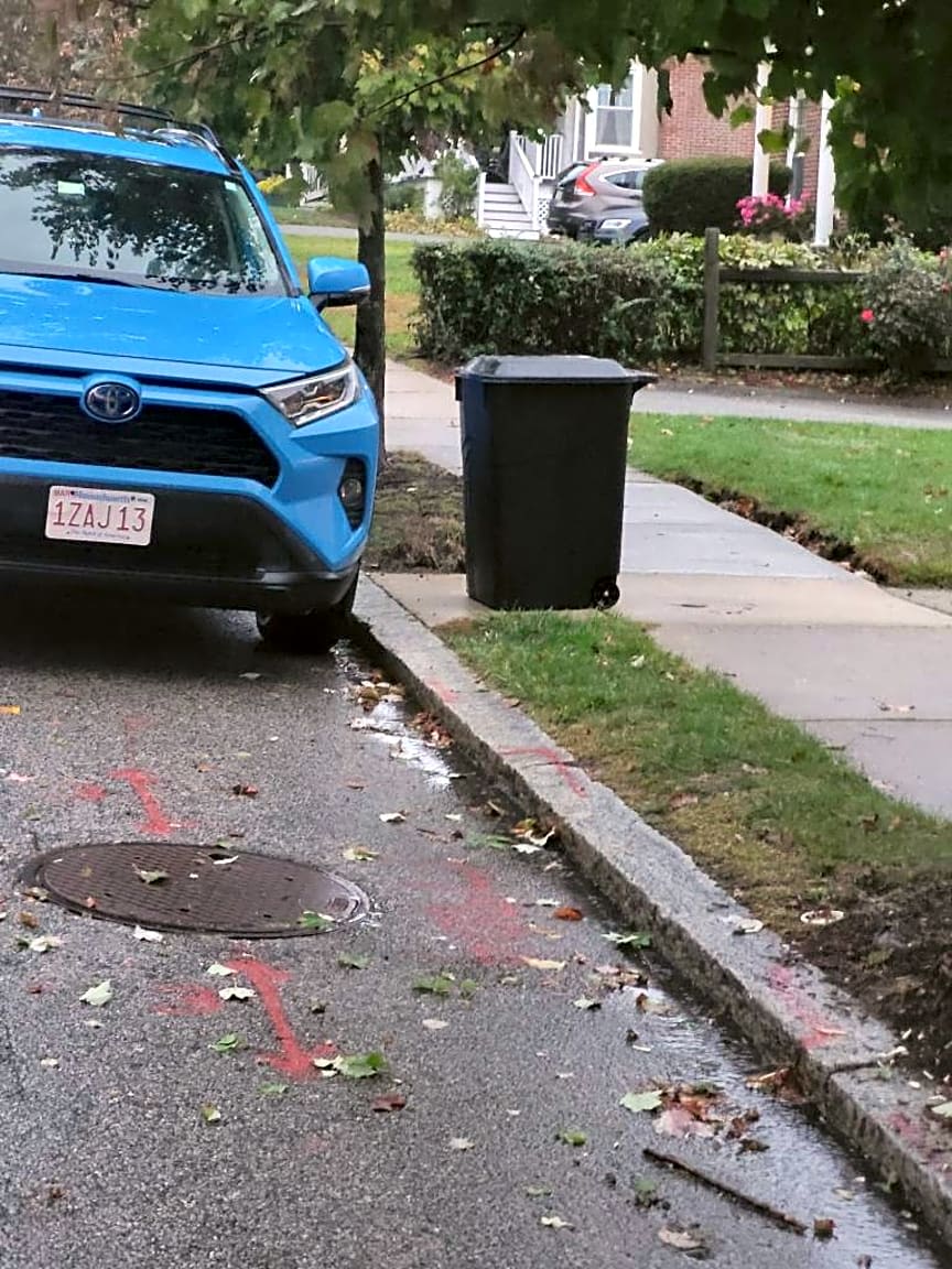 Image submitted with report