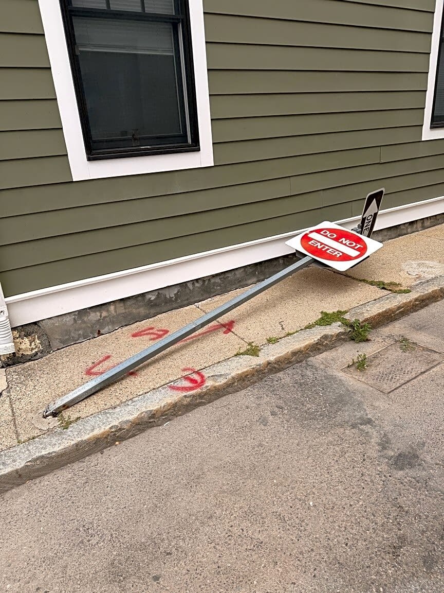Image submitted with report