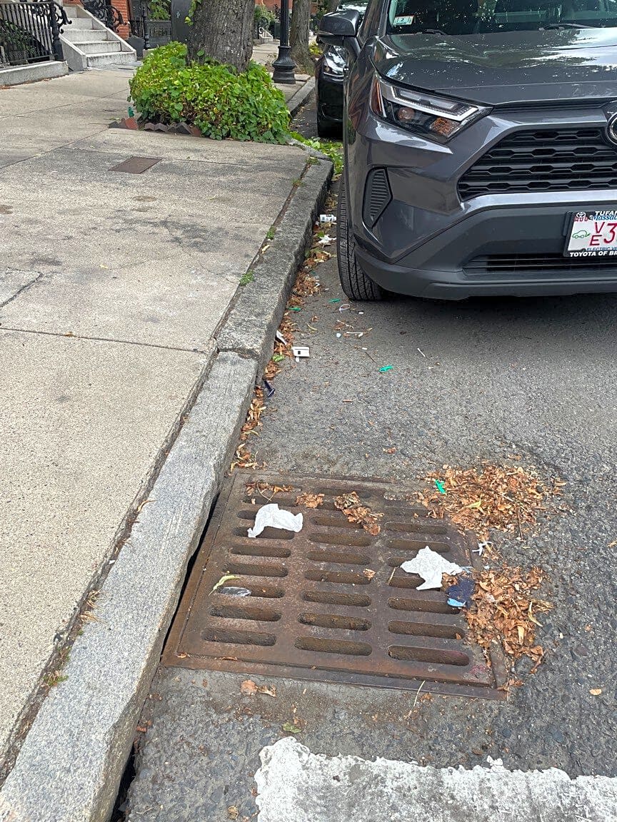 Image submitted with report