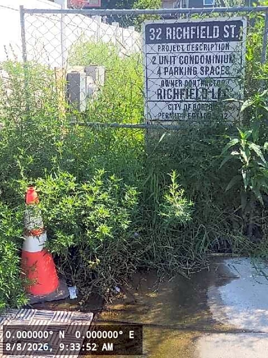Image submitted with report