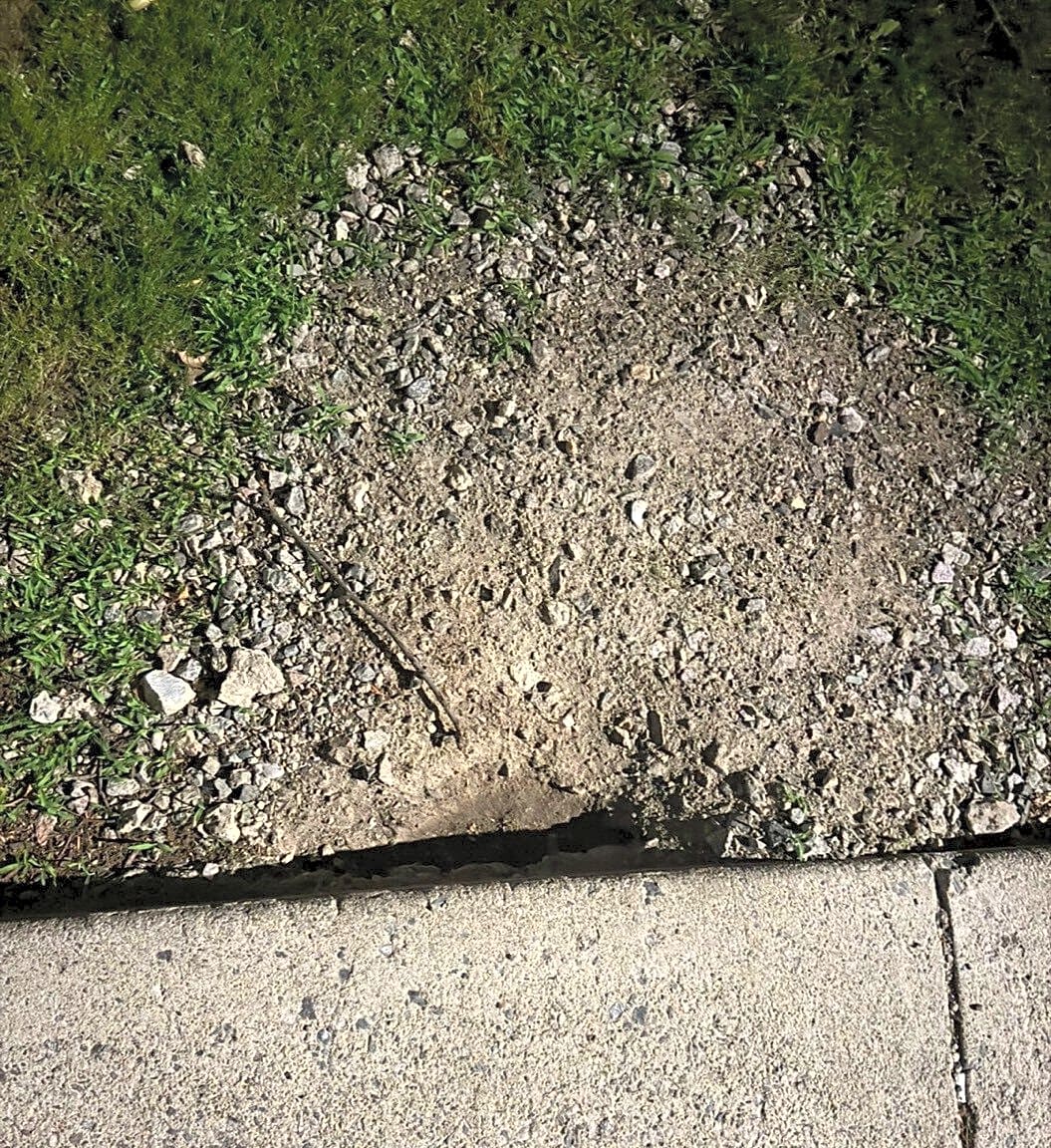 Image submitted with report