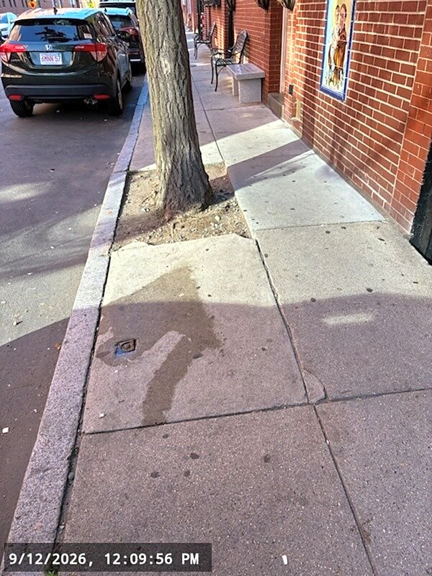 Image submitted with report