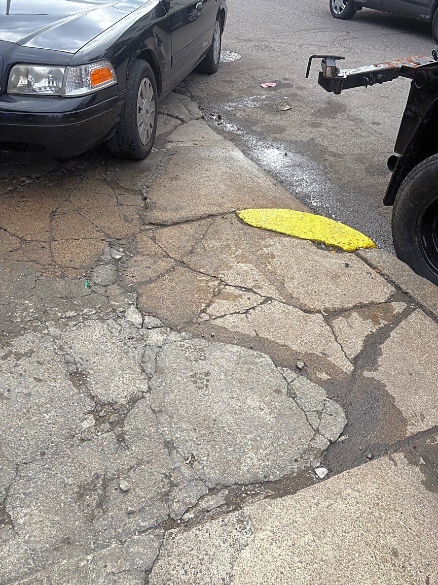 Image submitted with report