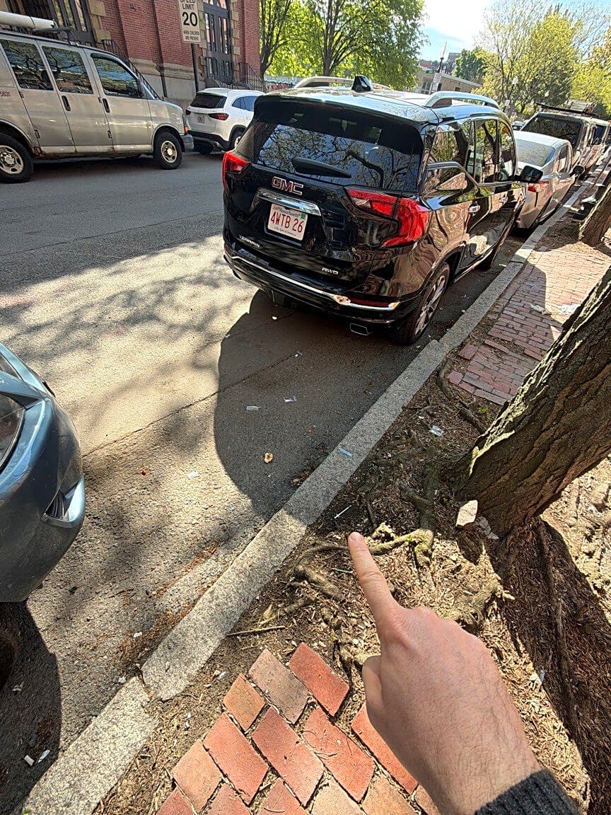 Image submitted with report