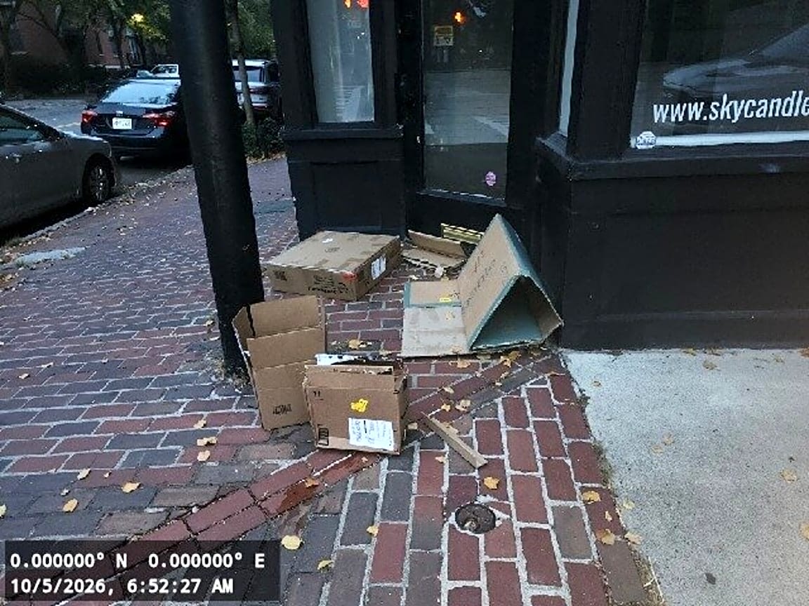 Image submitted with report